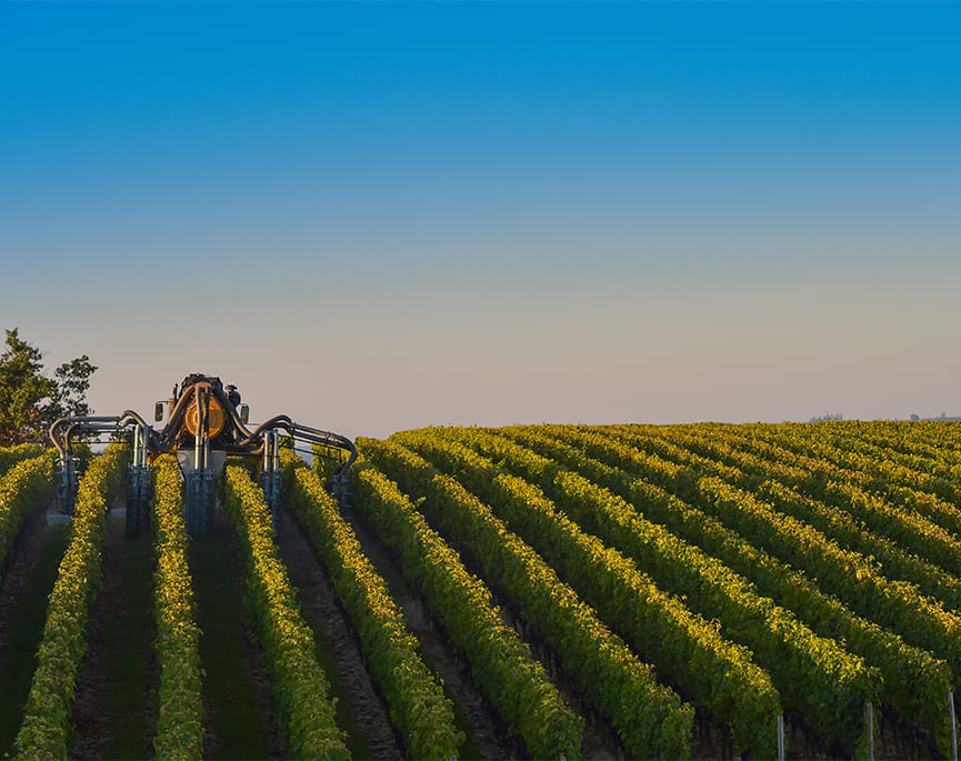vineyard work management
