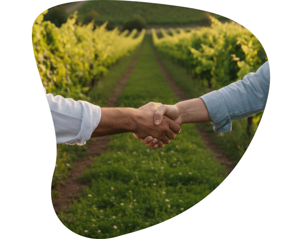 Utiliser un logiciel viticole et vinicole