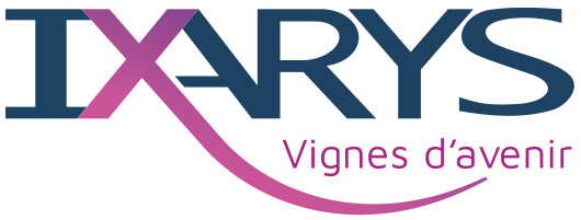 Logo Ixarys partenaire P2W